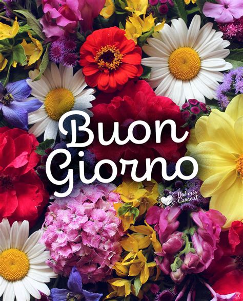 Buongiorno con i fiori bellissimi: immagini di buon。